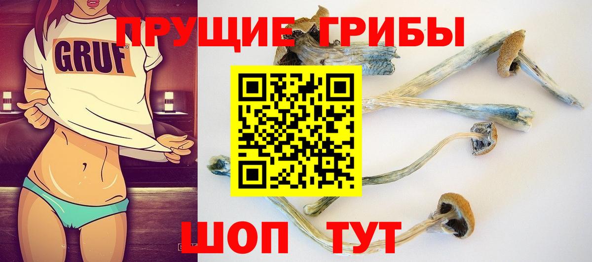 Галлюциногенные грибы ЛСД  купить  сайты  Псилоцибиновые грибы мицелий  Борисоглебск  Вход с VPN 